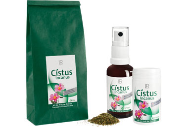 Cistus Incanus bei Bewell, Fachhandel für Beauty & Wellness, Birgit Weißenberger, Bad Soden